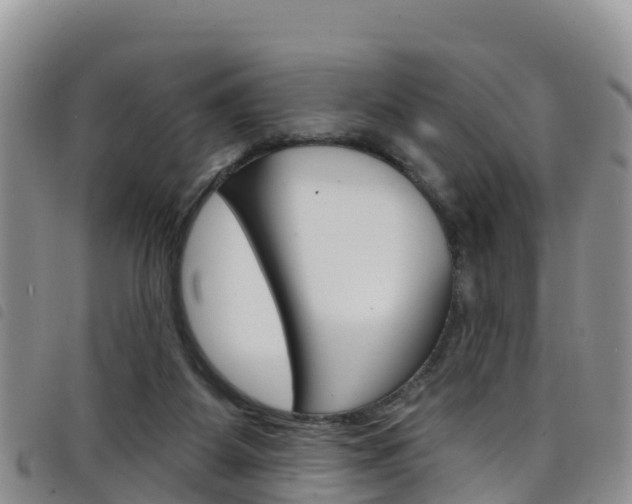X0000098210115200804241110