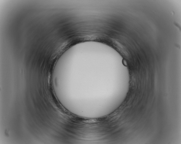 X0000098210118200804241110