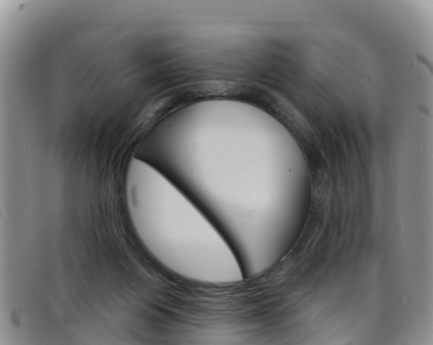 X0000098210119200804241110