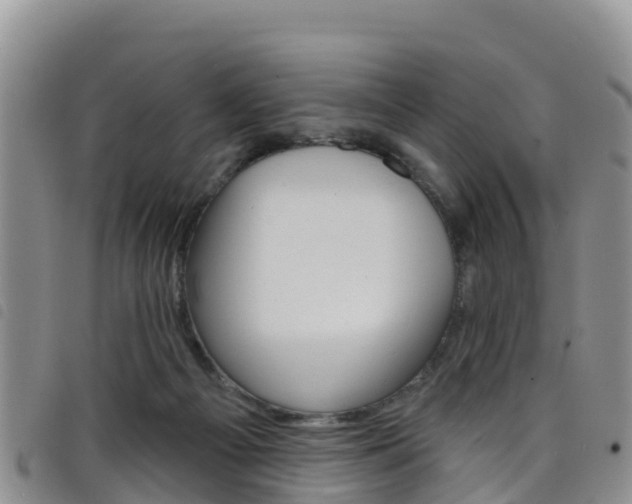 X0000098210121200804241110