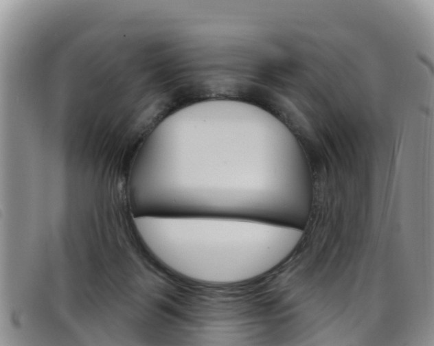 X0000098210123200804241110
