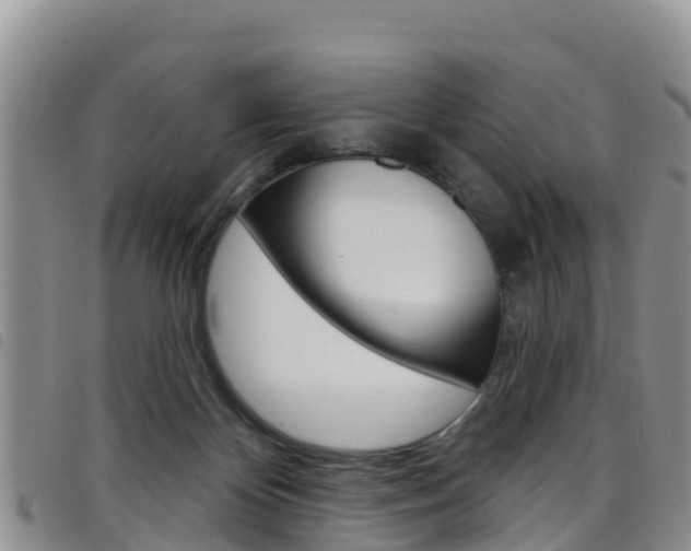 X0000098210124200804241110