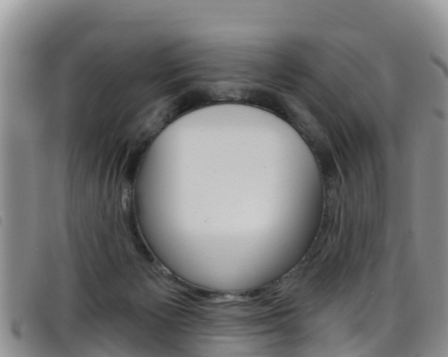 X0000098210125200804241110
