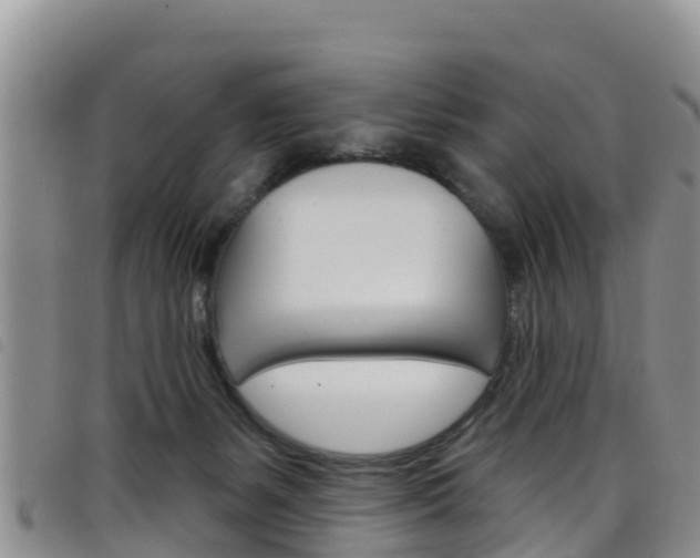 X0000098210127200804241110