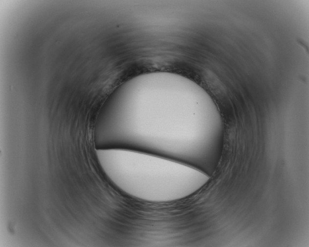 X0000098210129200804241110