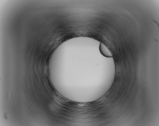 X0000098210130200804241110