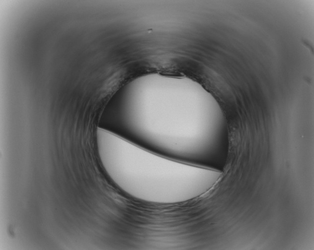 X0000098210132200804241110