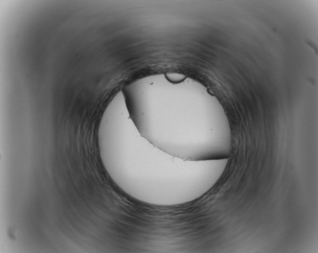 X0000098210133200804241110