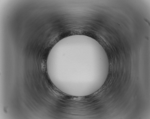 X0000098210134200804241110