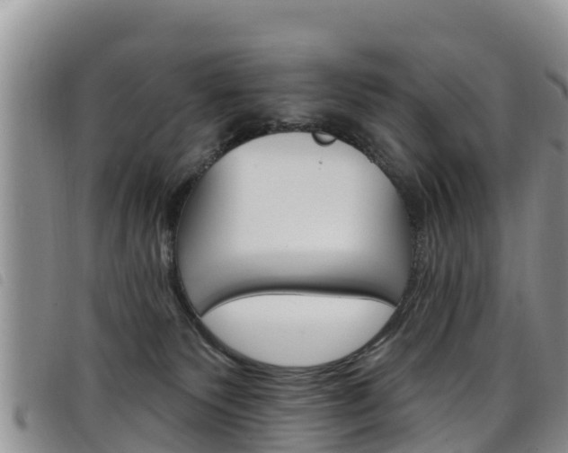 X0000098210135200804241110