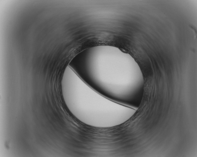 X0000098210137200804241110