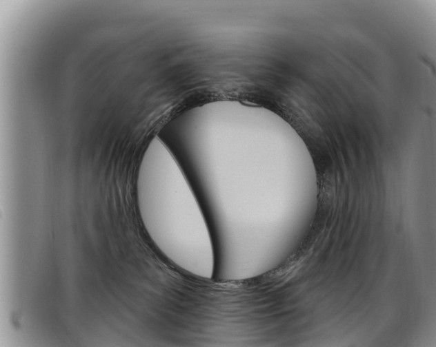 X0000098210139200804241110