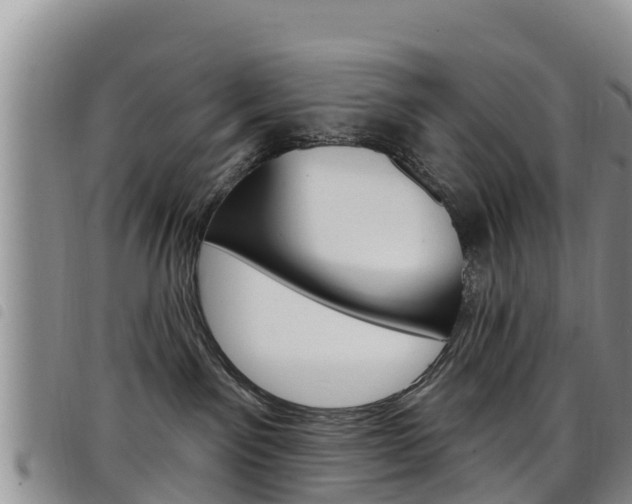 X0000098210141200804241110