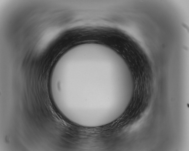X0000098210146200804241109