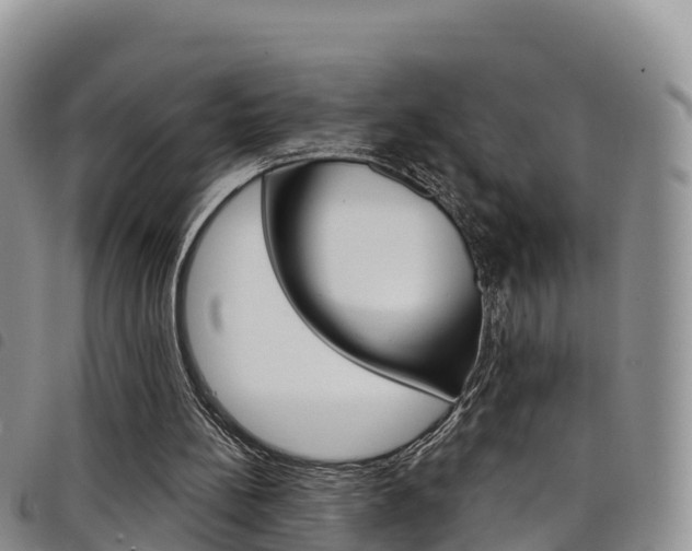 X0000098210148200804241109