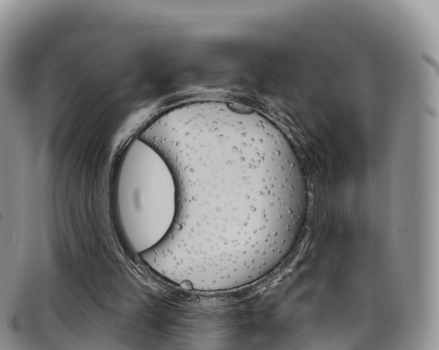 X0000098210149200804241109