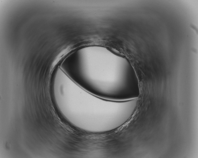 X0000098210150200804241109