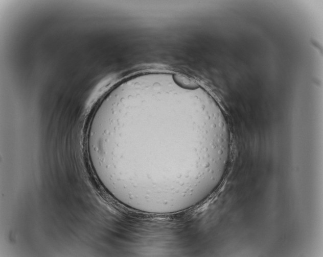 X0000098210151200804241109
