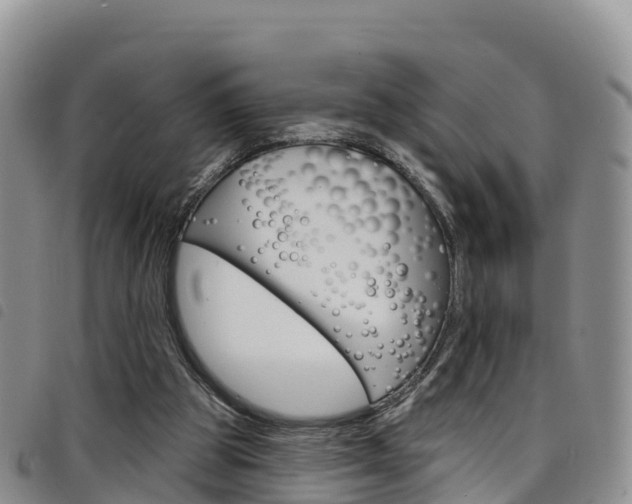 X0000098210153200804241109