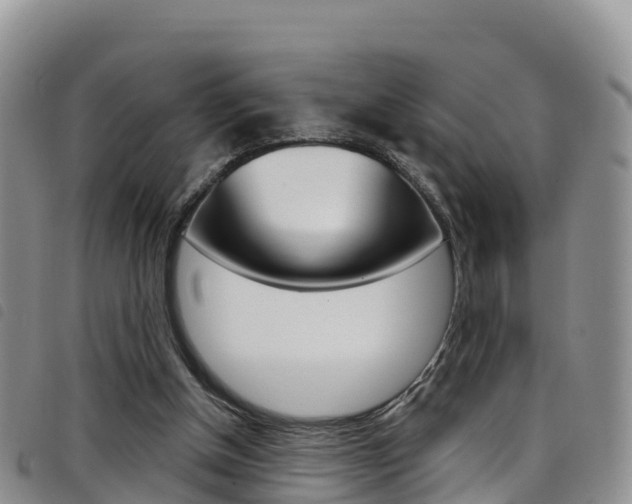 X0000098210154200804241109
