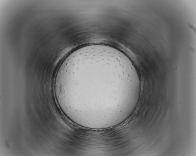 X0000098210155200804241109