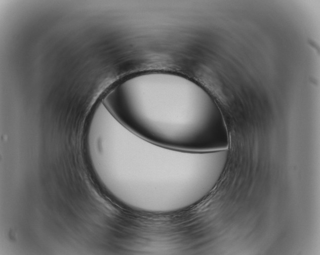 X0000098210156200804241110