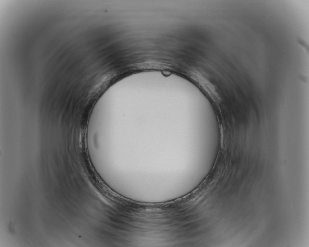 X0000098210157200804241110
