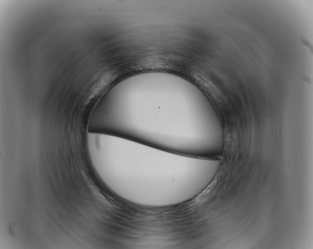 X0000098210158200804241110
