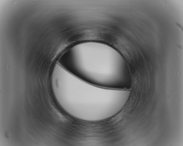 X0000098210160200804241110