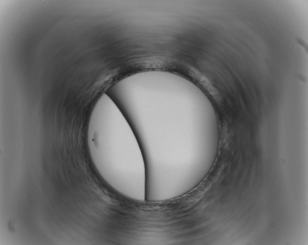 X0000098210161200804241110