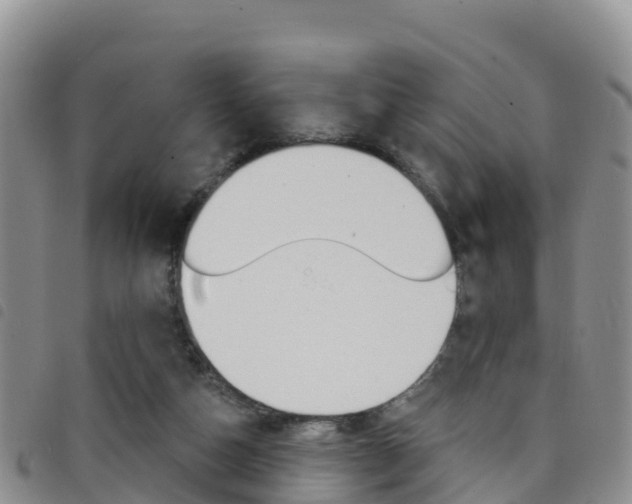 X0000098210162200804241110