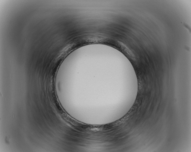 X0000098210163200804241110