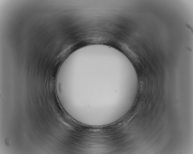 X0000098210165200804241110
