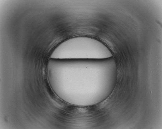 X0000098210166200804241110