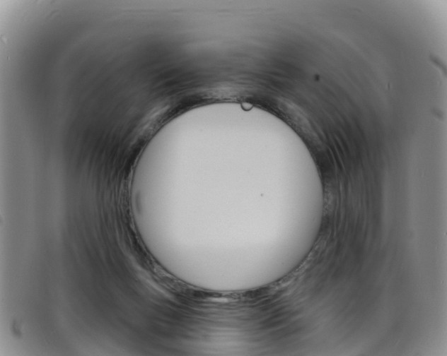 X0000098210167200804241110