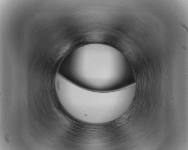 X0000098210168200804241110