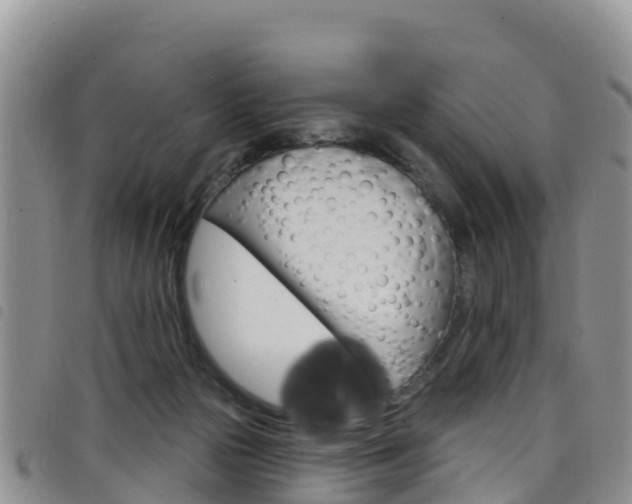 X0000098210169200804241110