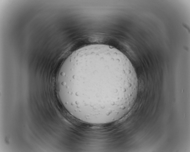 X0000098210171200804241110