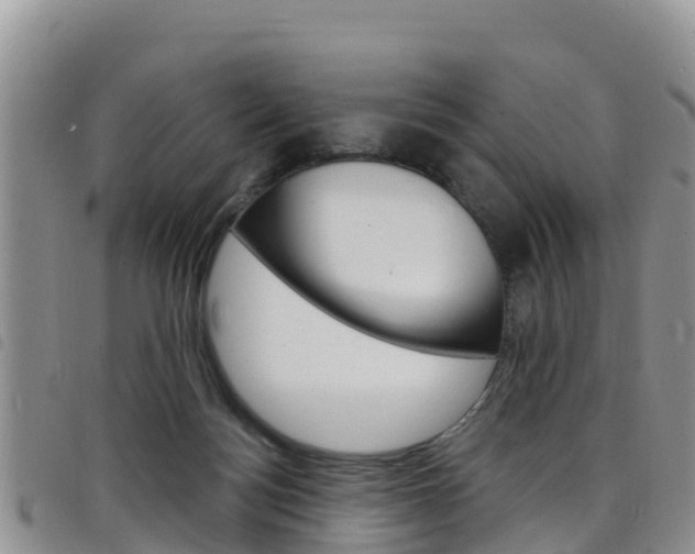 X0000098210172200804241110