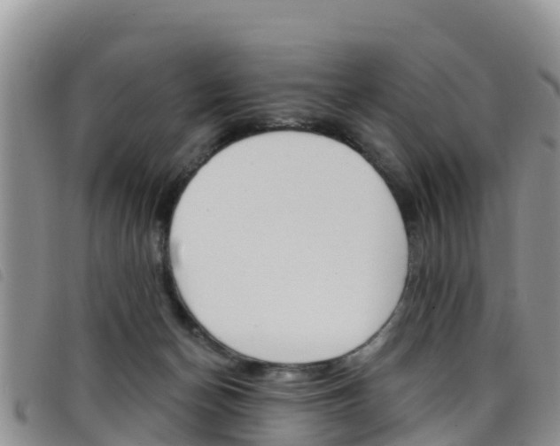 X0000098210174200804241110