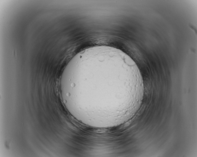 X0000098210175200804241110