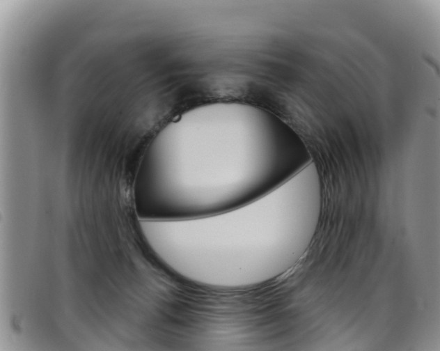 X0000098210176200804241110