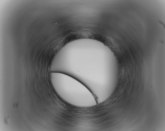 X0000098210177200804241110