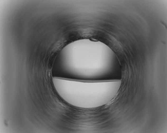 X0000098210180200804241110