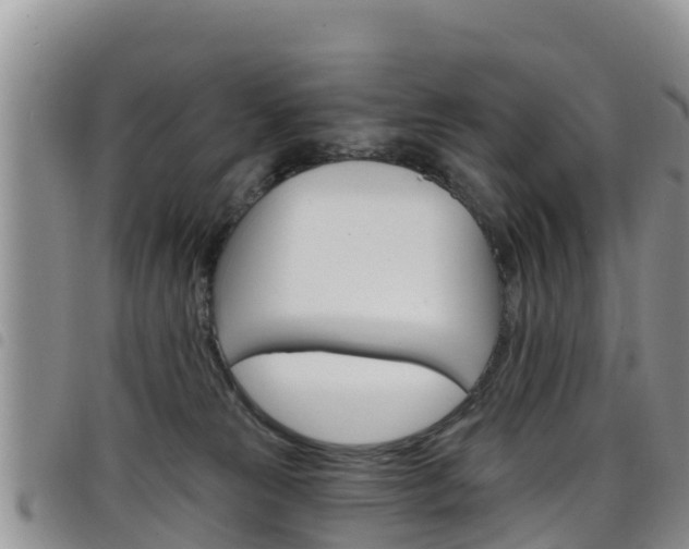 X0000098210181200804241110