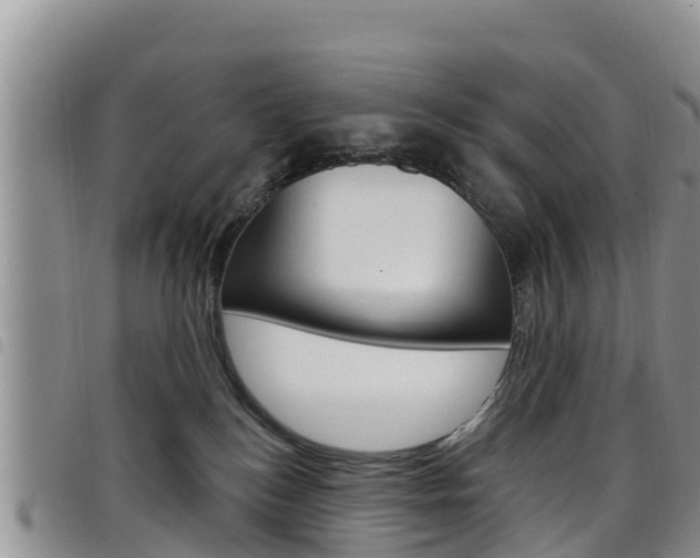 X0000098210184200804241110