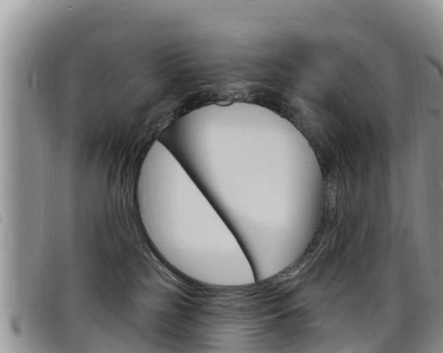 X0000098210185200804241110