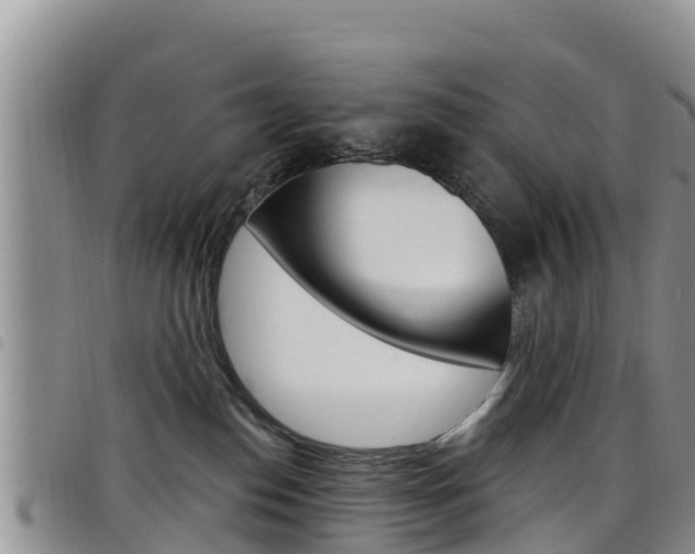 X0000098210186200804241110
