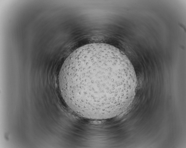 X0000098210187200804241110