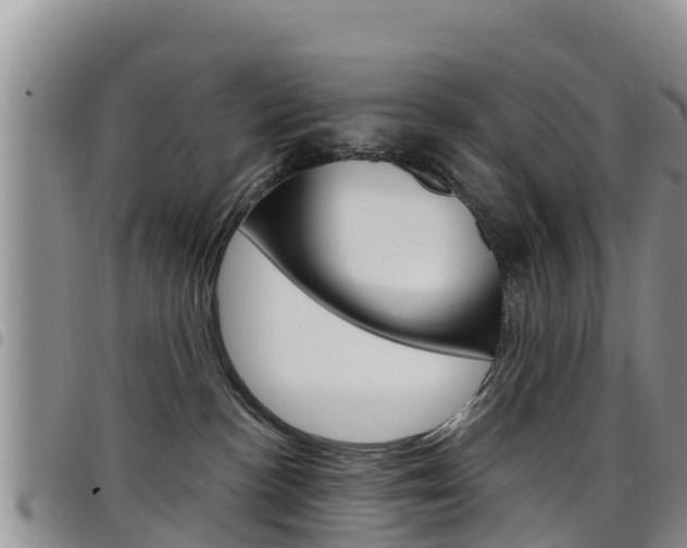 X0000098210188200804241110